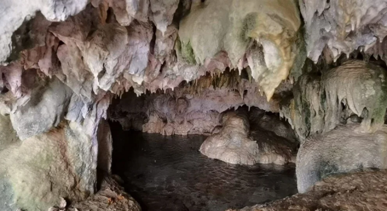 Hayvanlarını otlatırken binlerce yıllık mağara buldular