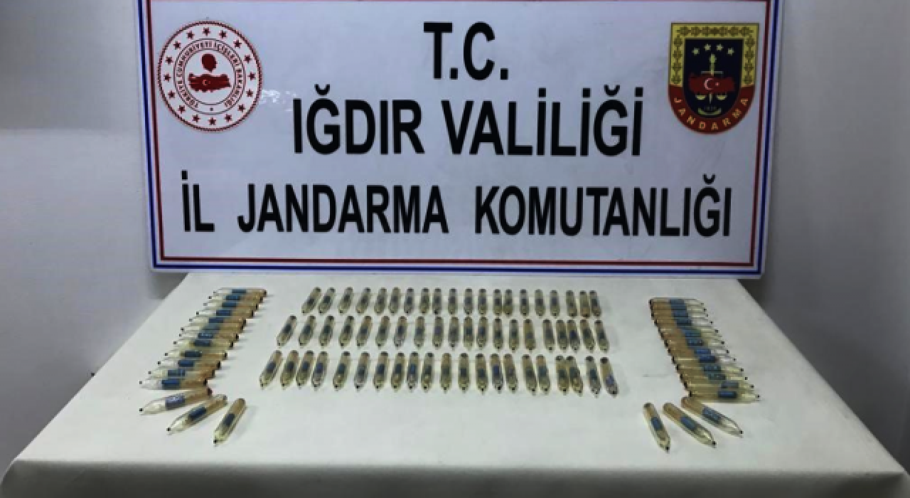 Iğdır'da jandarma 92 tüp yılan zehri ele geçirdi