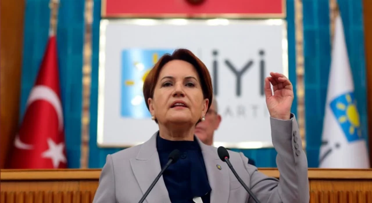 Akşener, Erdoğan'ın manda yoğurdu açıklamasına yanıt verdi