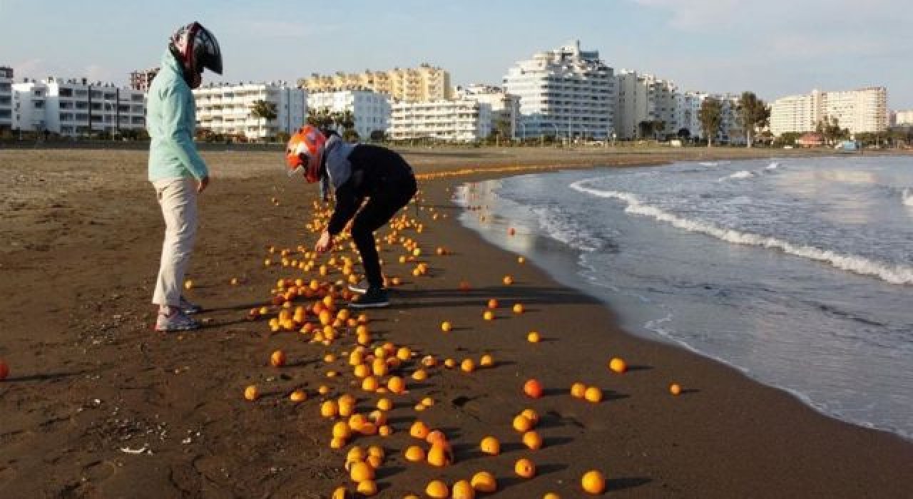 Mersin'de sahile portakal vurdu