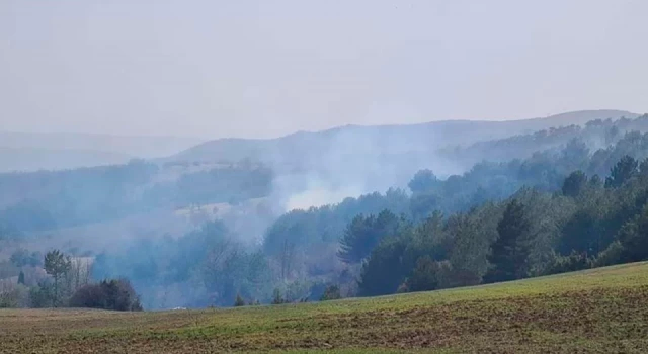 4 hektar alan Banaz'da çıkan orman yangınında zarara uğradı