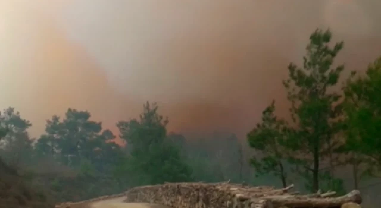 Çanakkale'de çıkan orman yangınına müdahale