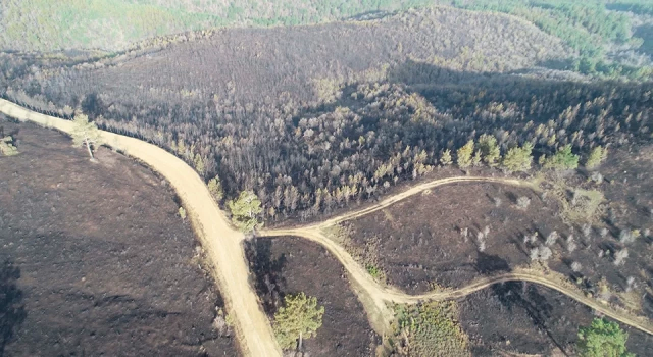 Çanakkale'deki orman yangını 18 saatin ardından kontrol altına alındı