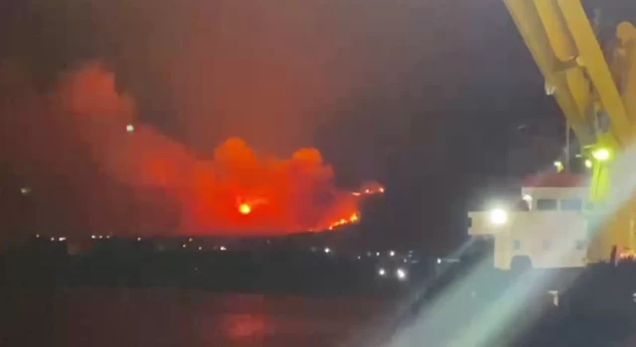 Hatay'daki orman yangınında yüksek gerilim hatları patladı!