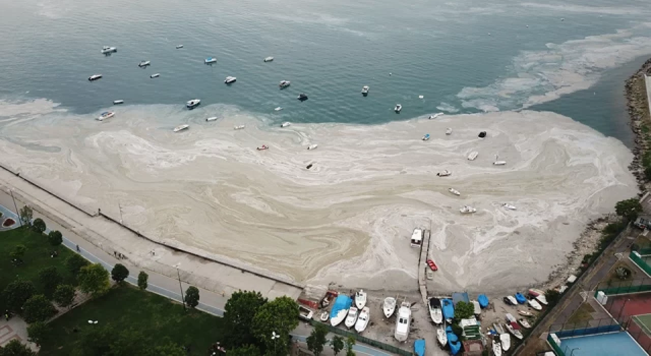 Marmara Denizi'nde dönem dönem müsilaj görülebilir