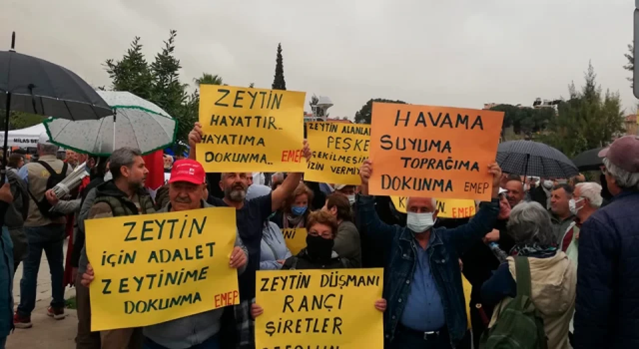 Muğla Milas'ta 'Zeytin hayattır, hayatıma dokunma' mitingi düzenlendi