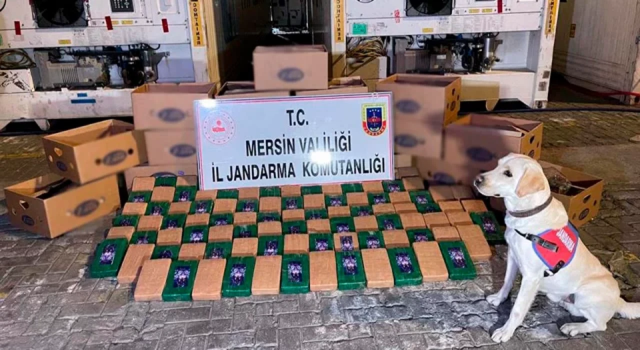 Soylu: Mersin Limanı'nda 258 kilo kokain yakalandı