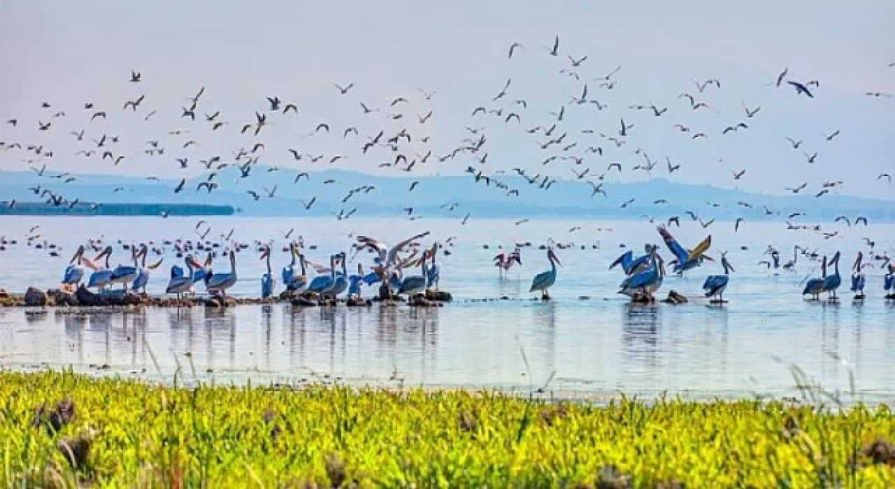 Gelecek nesiller için canlı çeşitliliği bize emanet