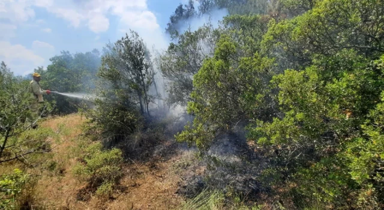 Manisa’da ormanlık alanlara girişler yasak