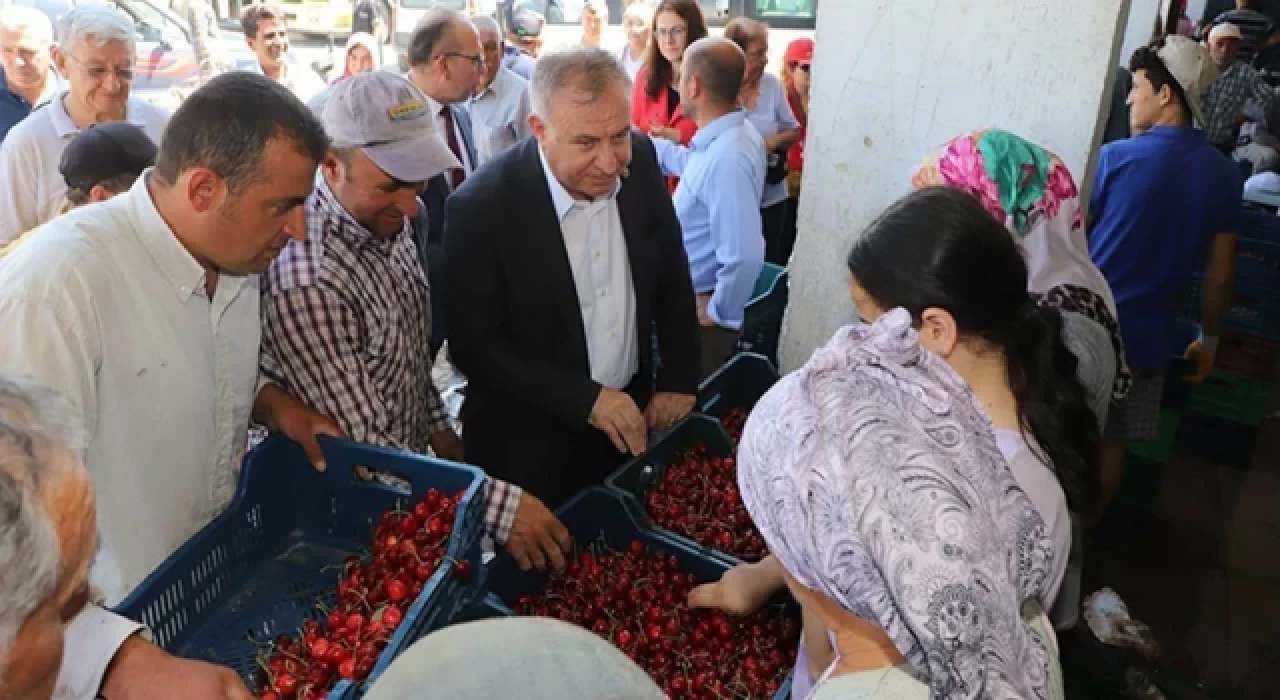 Manisalı kiraz üreticileri isyanda