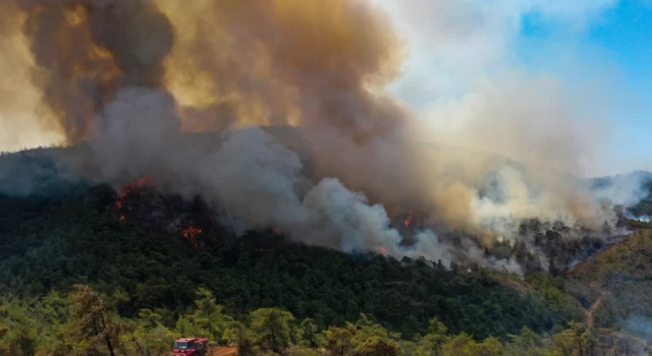 Marmaris'teki orman yangınını çıkaran kişi tutuklandı