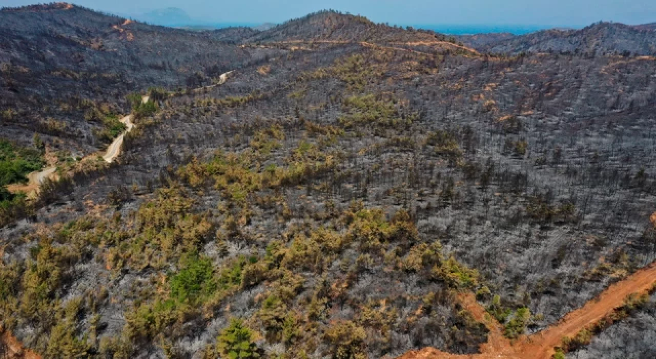 Marmaris'teki yangın tamamen kontrol altına alındı