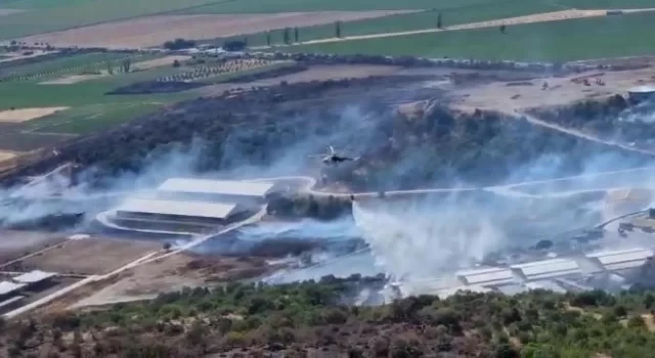 Bergama'da çıkan yangın kontrol altına alındı