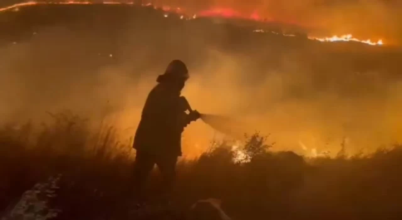 Çeşme yangını kontrol altına alındı