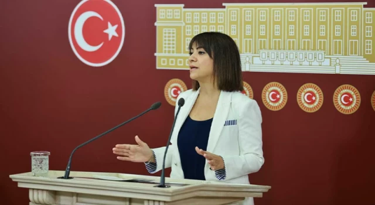 CHP’li Taşcıer: İktidarın market açar gibi eczacılık fakültesi açması artık halk sağlığı sorunu haline geldi