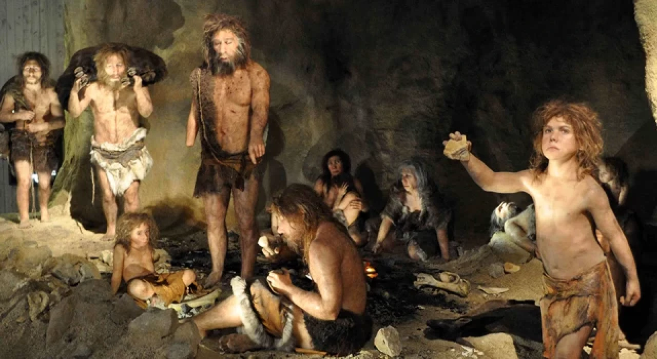 İnsanlar Neandertallerden daha akıllı değildi, sadece daha uzun dayandılar