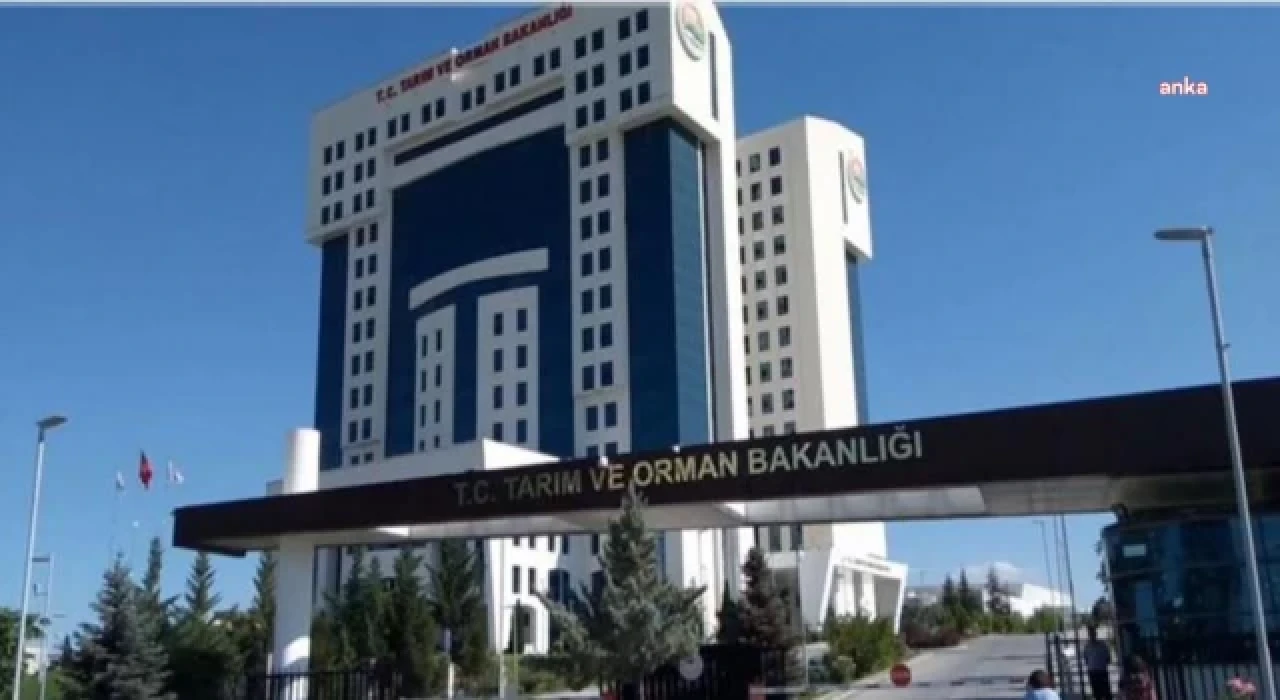 Tarım ve Orman Bakanlığı’ndan “Tırtıl İstilası” açıklaması