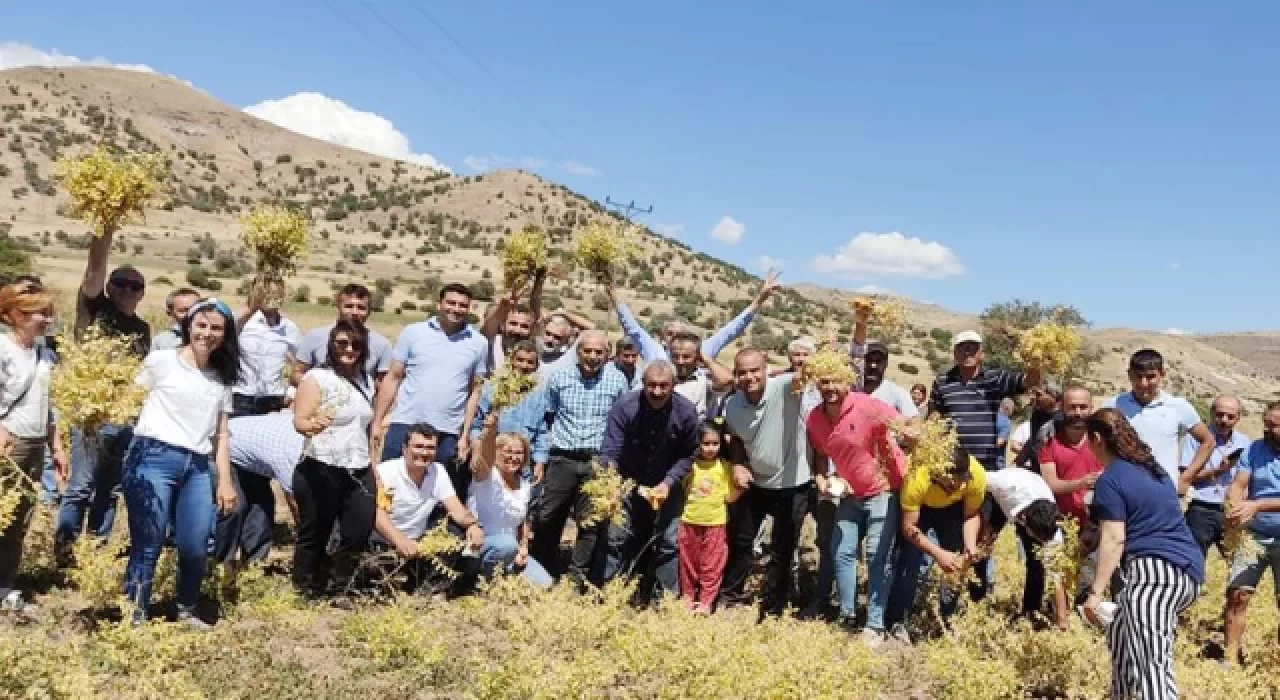 Tunceli Belediye Başkanı Maçoğlu: Herkes topraklarına sahip çıksın