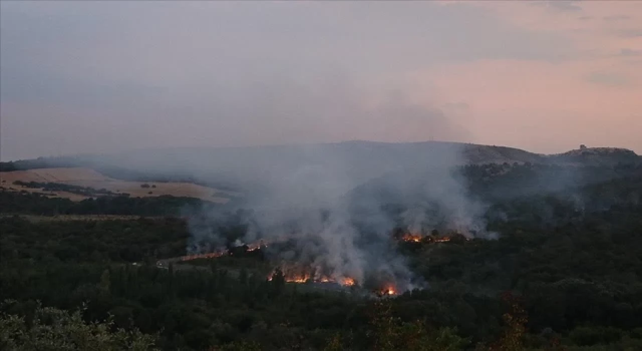 Bulgaristan’da askerlerin patlayıcı madde imha etmesi sonrasında orman yangını çıktı