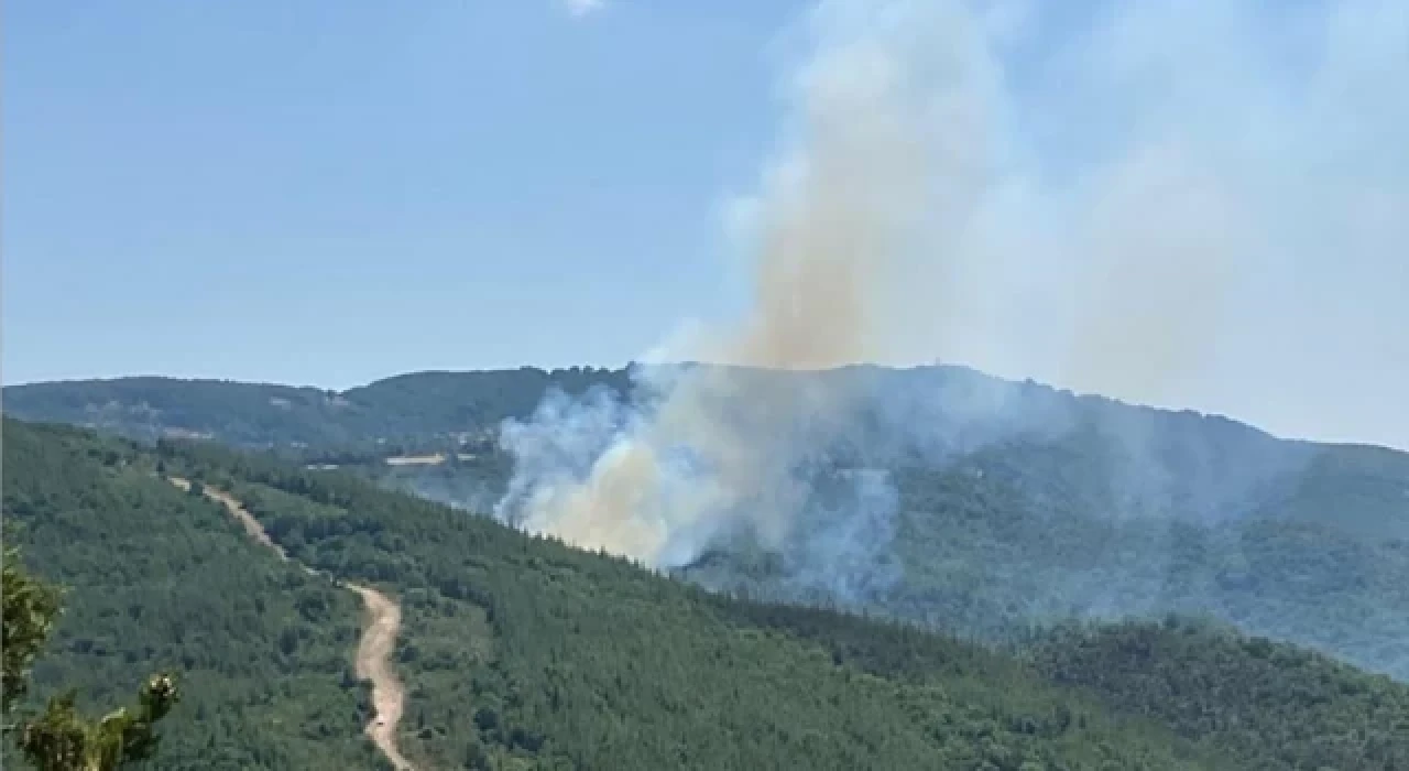 Çanakkale’de çıkan orman yangını kontrol altına alındı