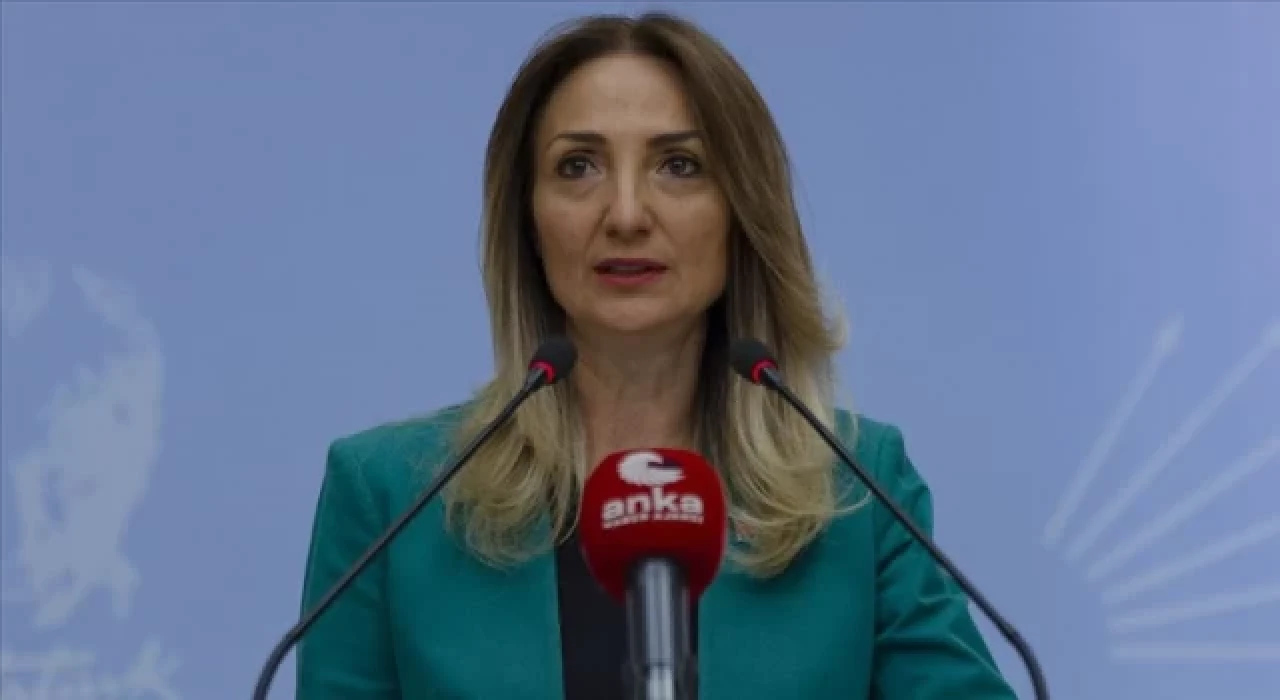 CHP’li Nazlıaka: İstanbul Sözleşmesi'nden vazgeçmiyoruz