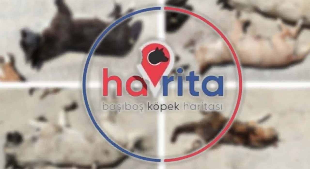 Havrita hakkında ikinci kez erişim engeli kararı