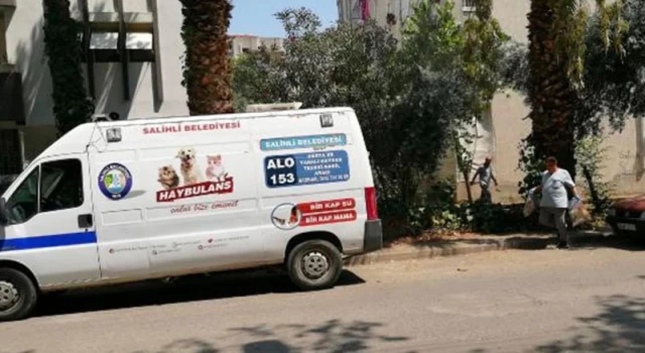 Manisa’da zehirlendikleri iddia edilen 15 kedi ile 1 köpek ölü olarak bulundu