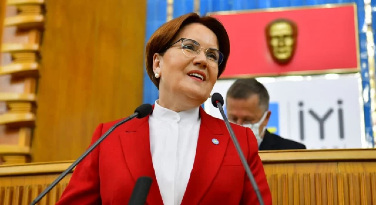 Meral Akşener bir köpek tarafından ısırıldı