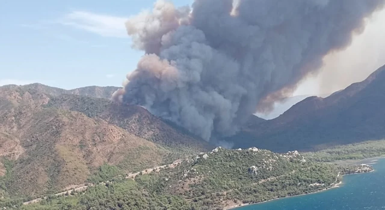 Marmaris'te orman yangını çıktı