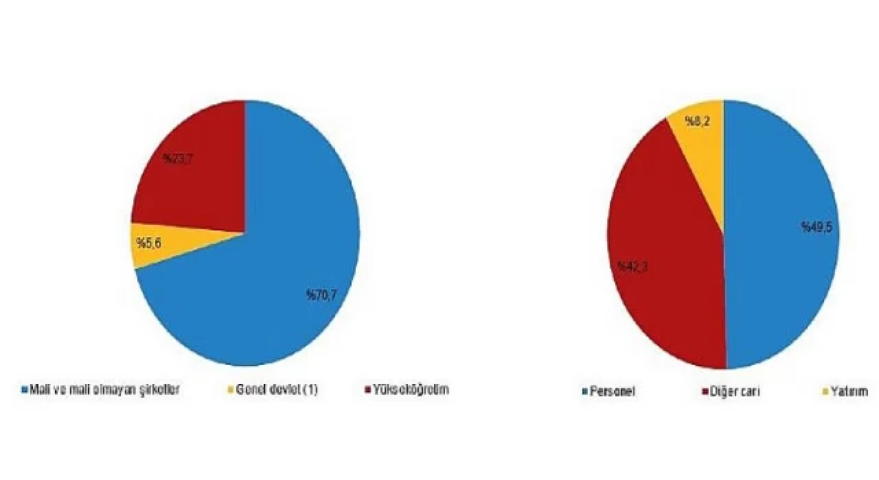 Araştırma-Geliştirme (Ar-Ge) harcaması 2021 yılında 81 milyar 922 milyon TL’ye yükseldi