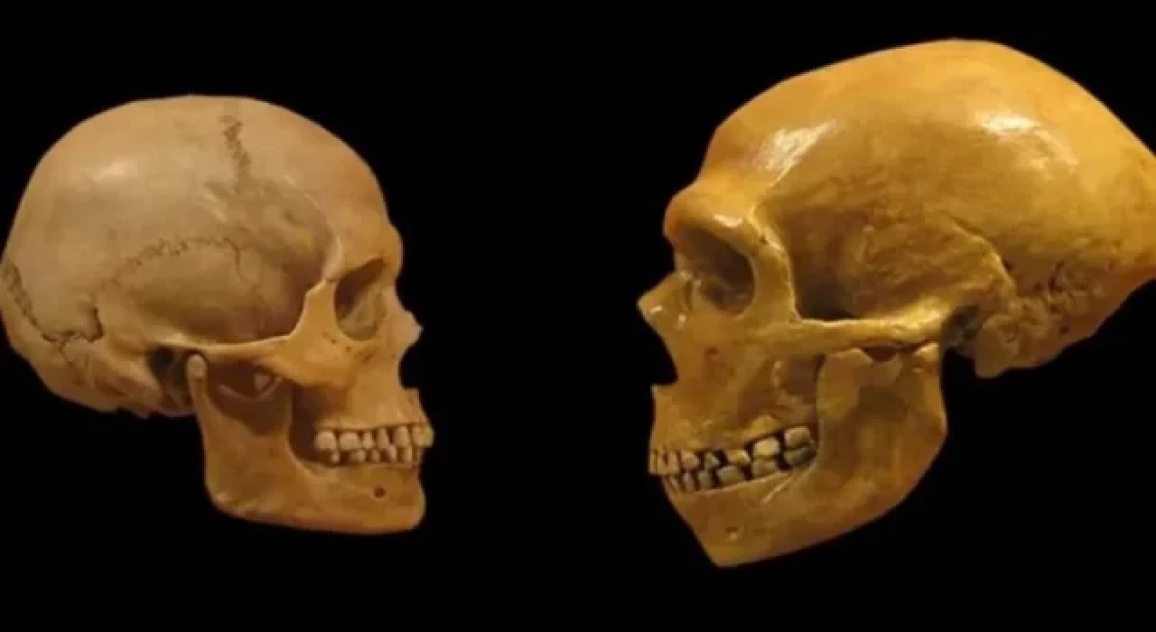 Homo Sapiens’i akraba evliliğinin zayıflattığı ortaya çıktı