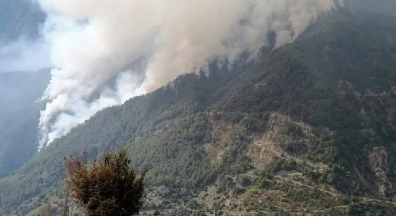 Osmaniye'deki orman yangını dördüncü günde kontrol altına alındı