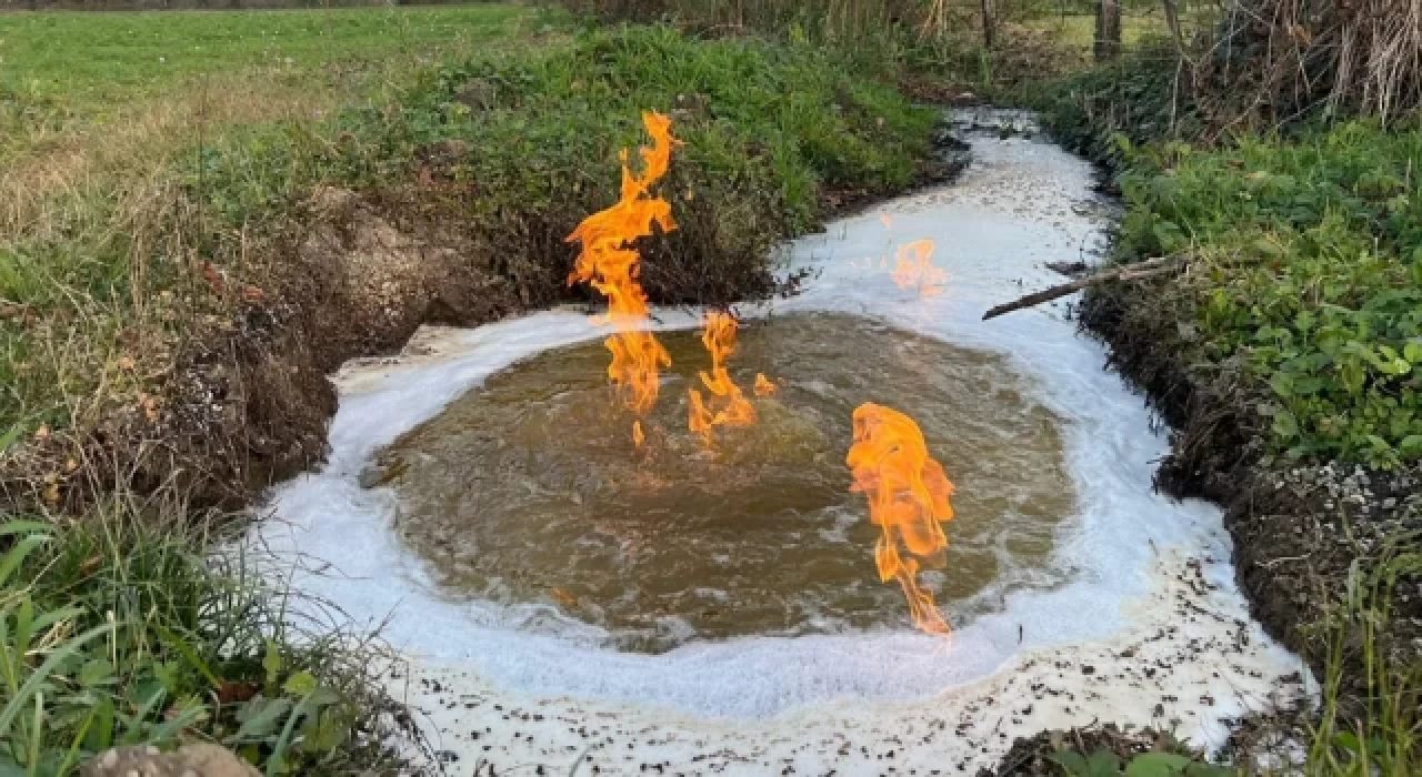 Düzce'deki depremin ardından yanmaya ve köpürmeye başladı