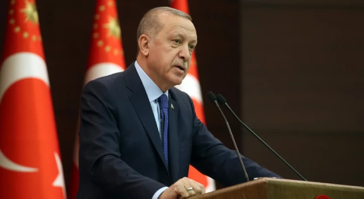 Erdoğan'dan, hayvan barınağındaki vahşete ilişkin açıklama