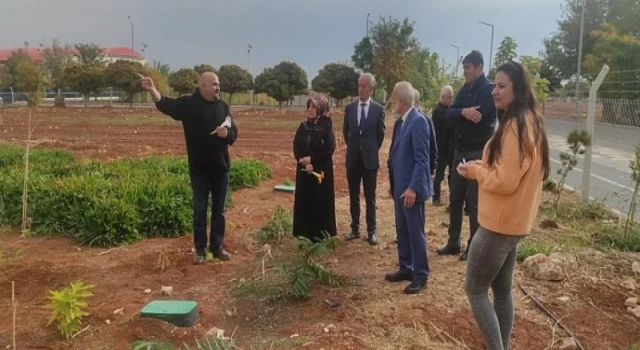 Harran Üniversitesi Dünyanın En Değerli Baharatını Şanlıurfa’ya Yeniden Kazandırdı