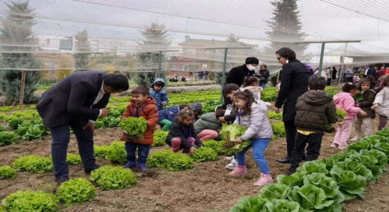 İstanbul Beylikdüzü’nde kış hasadı