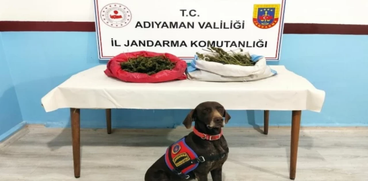 Adıyaman’da uyuşturucuya geçit yok!