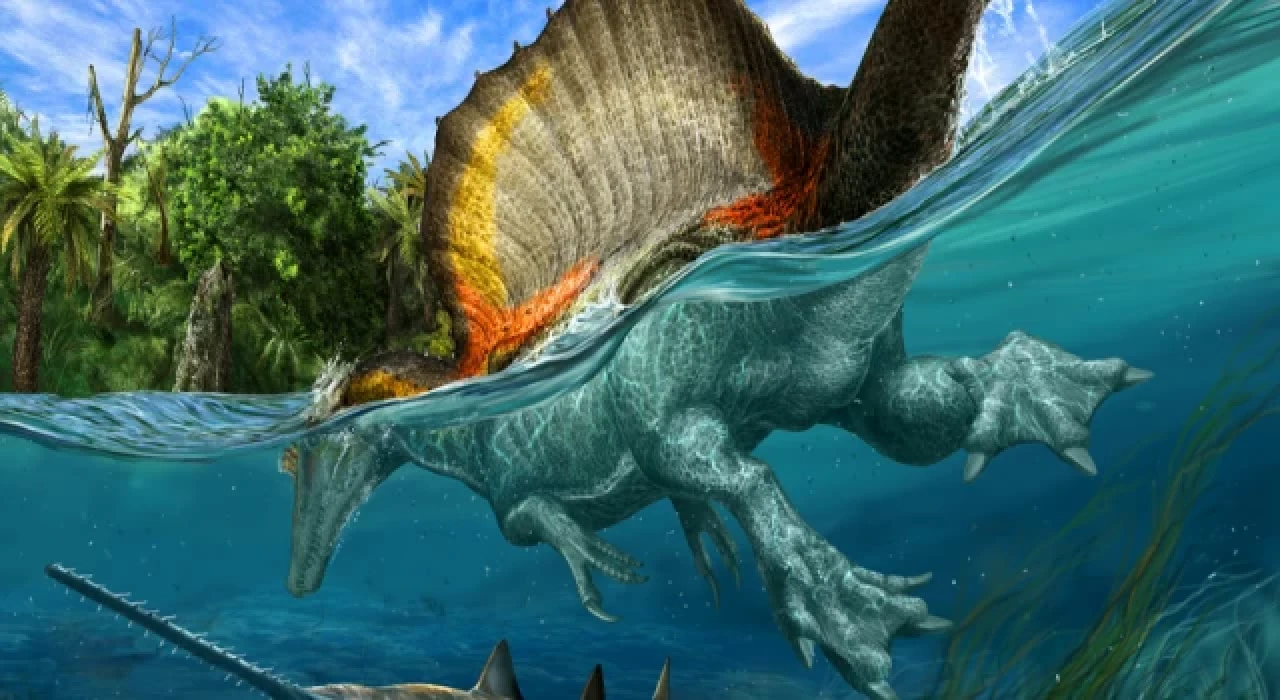 Dinozor türü 'Spinosaurus' hem karada hem de suda yaşamış olabilir