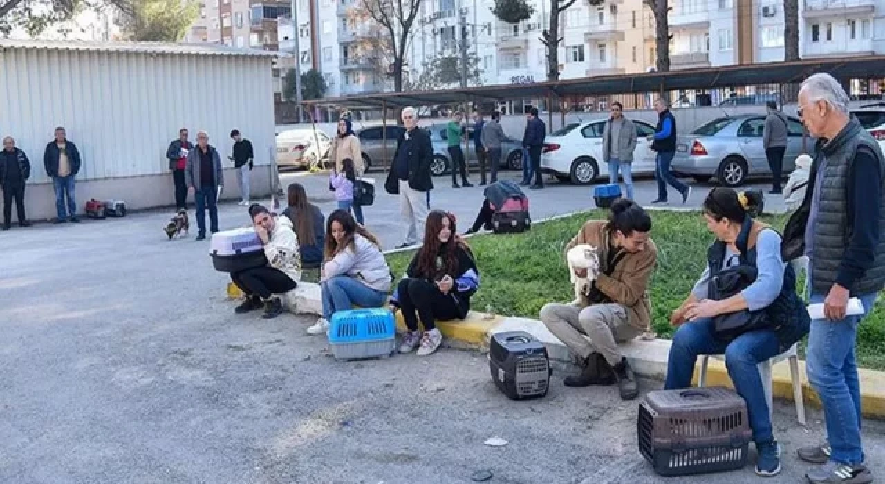 Evcil hayvan sahiplerinin 'çip taktırma’ sırası