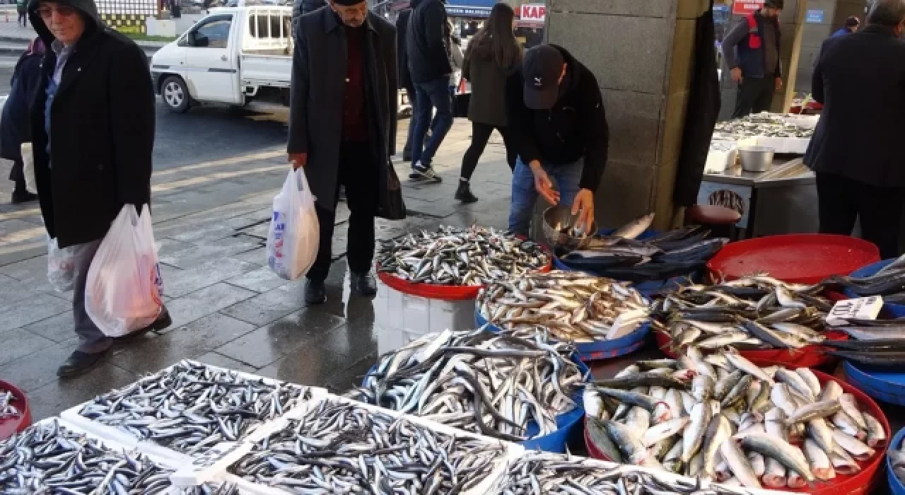 Hamsi sezonun en yüksek fiyatını gördü