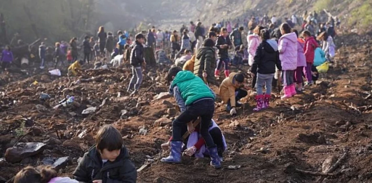 Marmaris’te MADOK- Kızılbük GYO iş birliğiyle ağaç ekim şenliği gerçekleştirildi