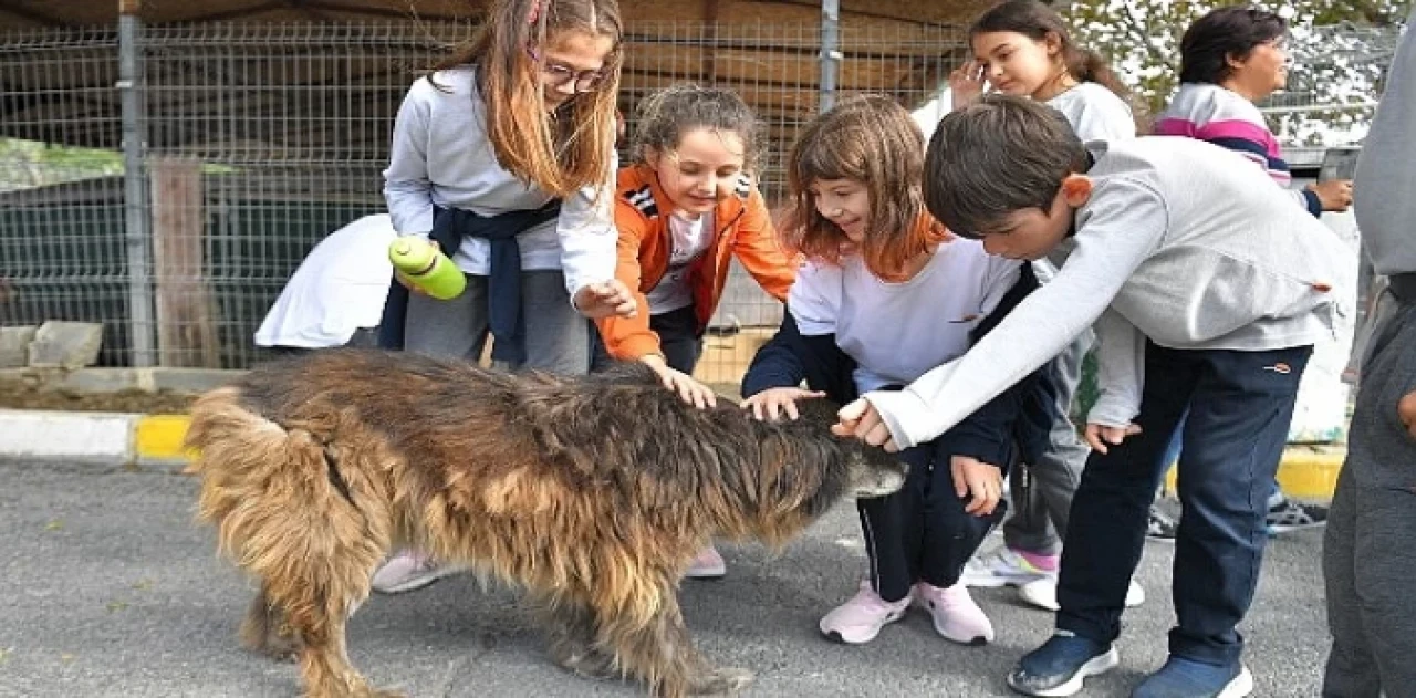 Beylikdüzü’nde Patili Dostlar Mutlu