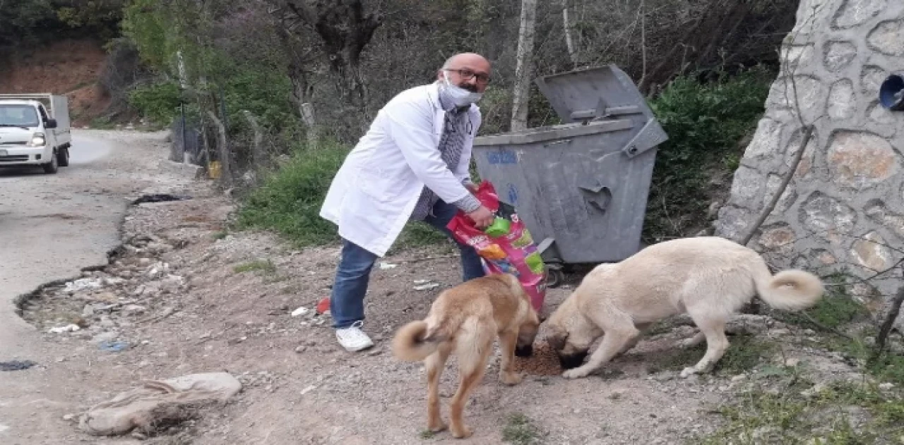 Bursalı veterinerden ’bir kap su, bir kap mama’ çağrısı