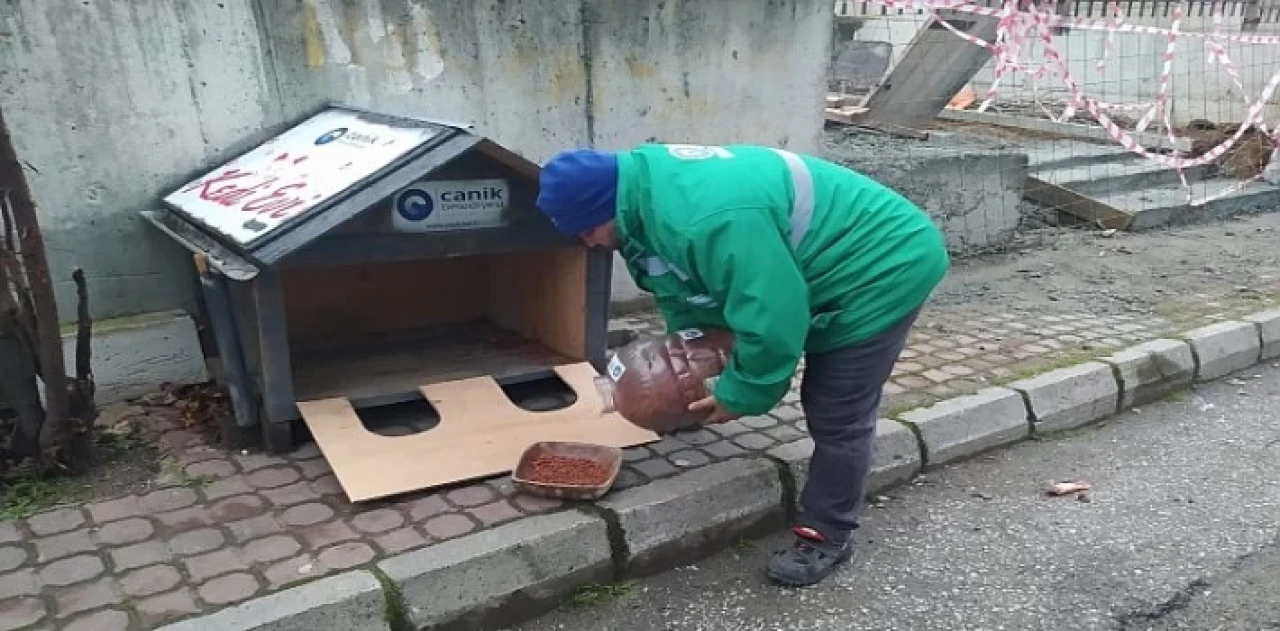 Canik Belediyesi Can Dostları Yalnız Bırakmıyor