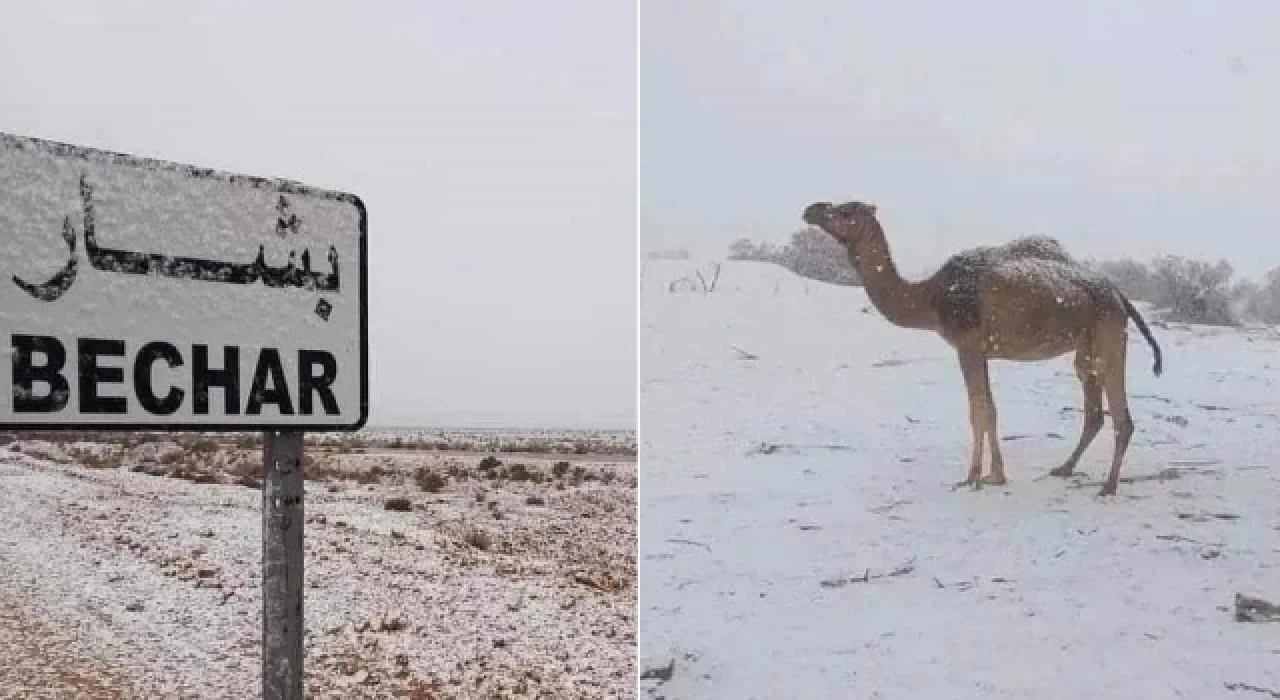 Cezayir’de çöldeki bazı bölgelere kar yağdı