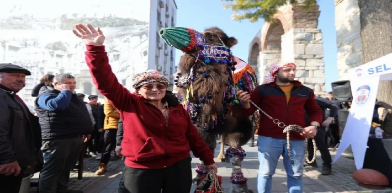 Efes Selçuk’ta deve güreşi heyecanı