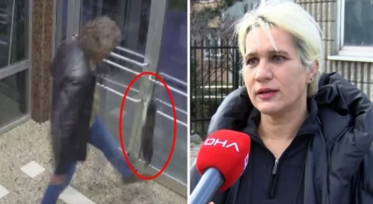 Kedi düşmanının komşusu konuştu: 'Köpeğim var ama kedilerden tiksiniyorum' diyor