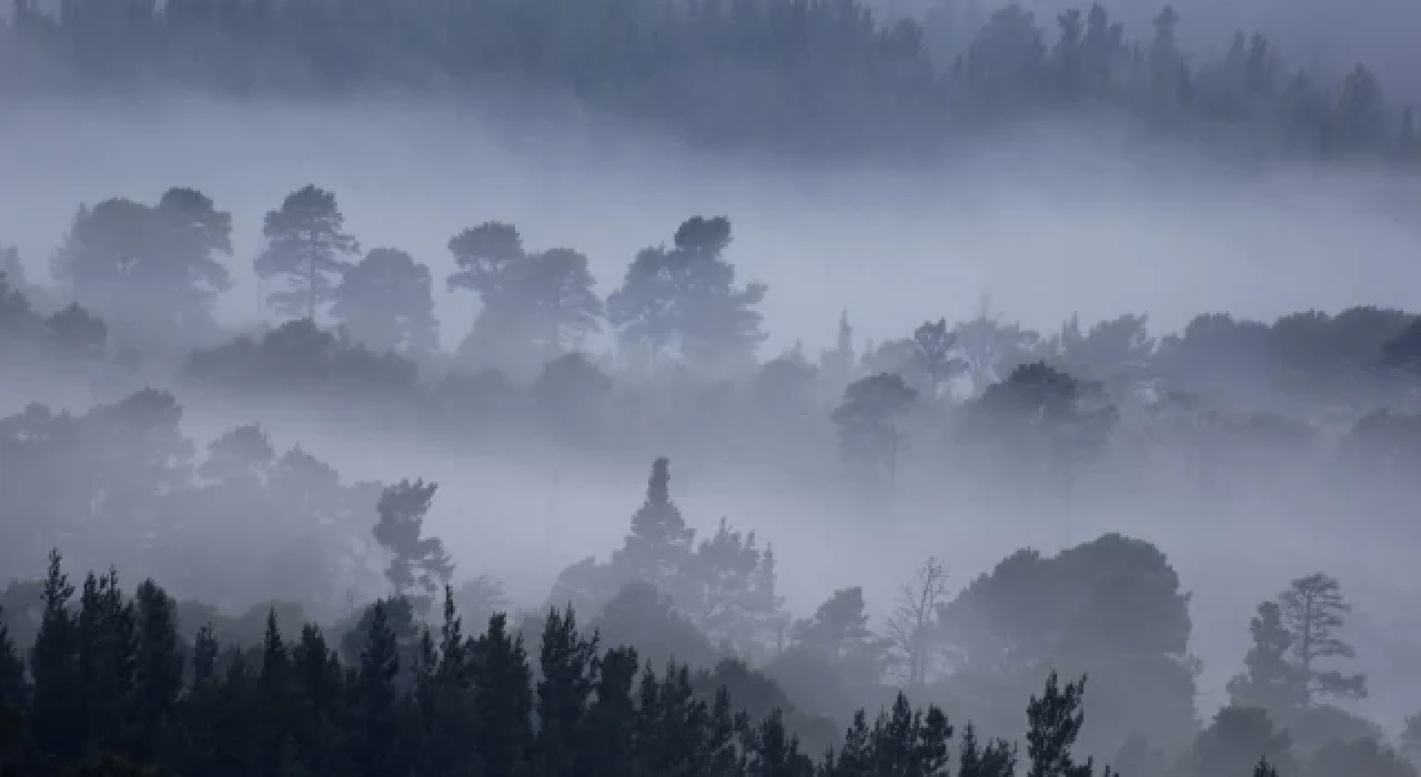 Meteoroloji'den yağmur ve sis uyarısı