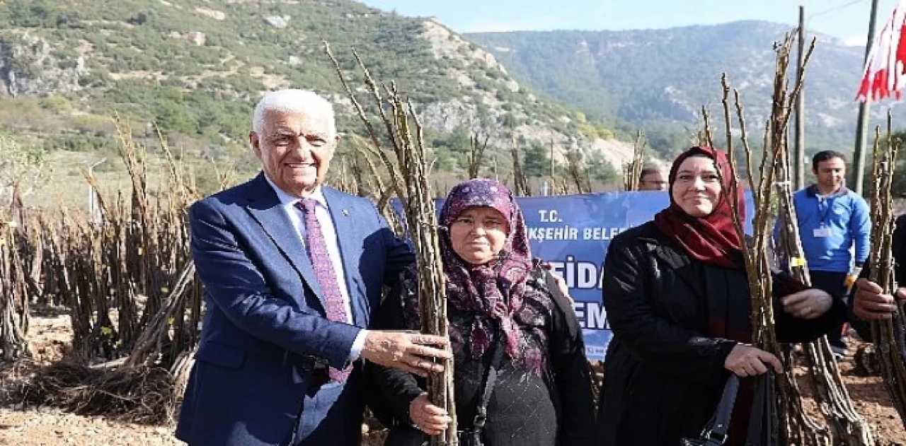 Muğla Büyükşehir Meyve Fidanı Desteğine Başlıyor