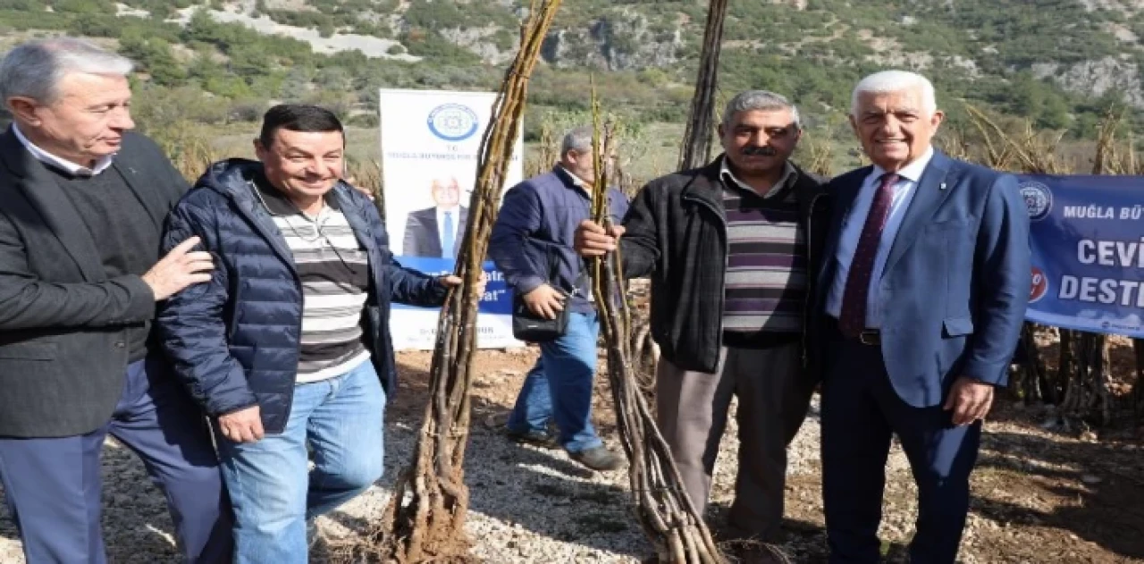 Muğla’dan tarımsal desteklerin dağıtımına başlıyor